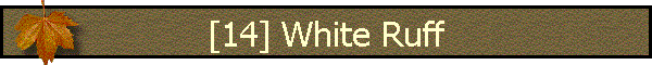 [14] White Ruff