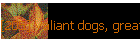 [205] Valiant dogs, great dog stories of our day