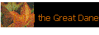 [207] the Great Dane