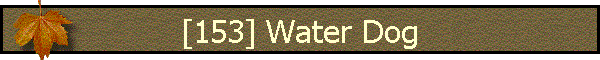 [153] Water Dog