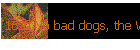 [162] No bad dogs, the Woodhouse way