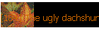 [184] The ugly dachshund